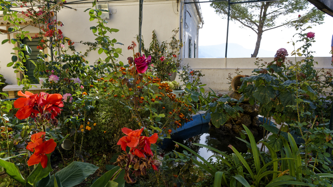 20221102 095427•Paleokastrites•Ionian Islands•Greece